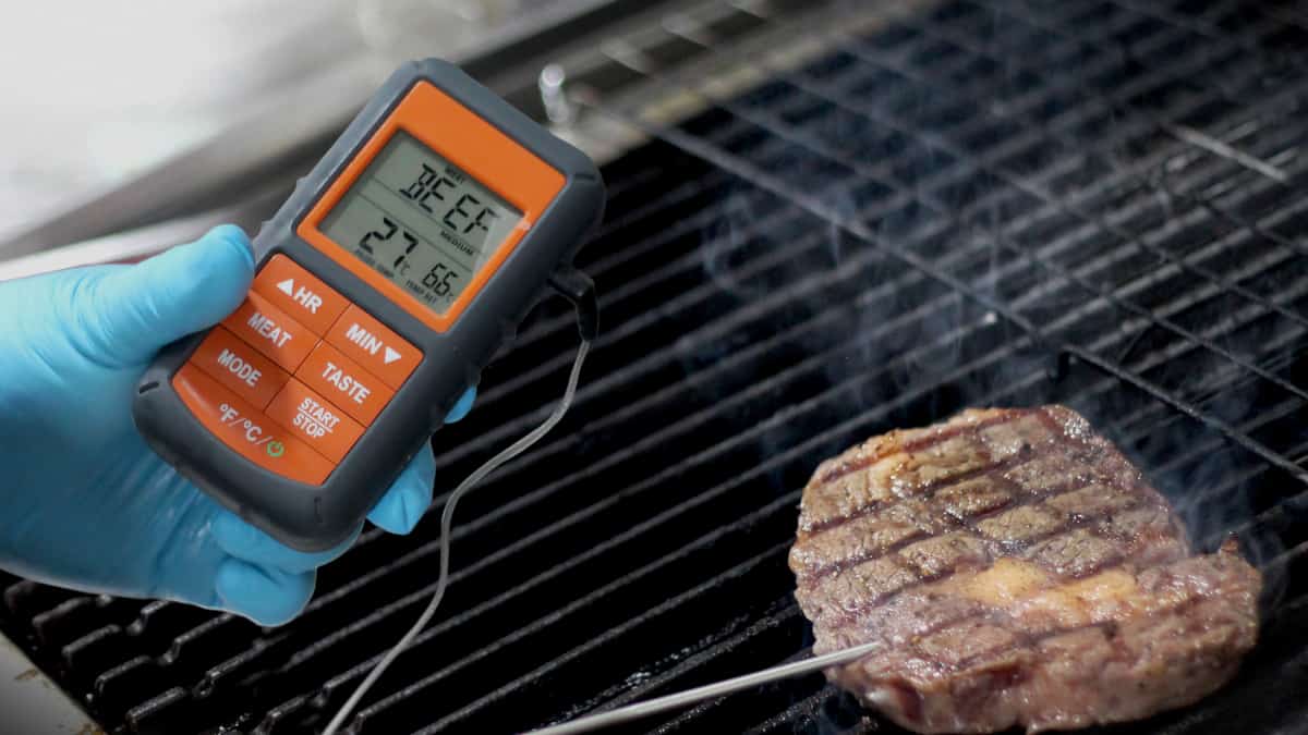 Grill Grate Et732 BBQ Smoker Meat Thermometer with Original Magnet