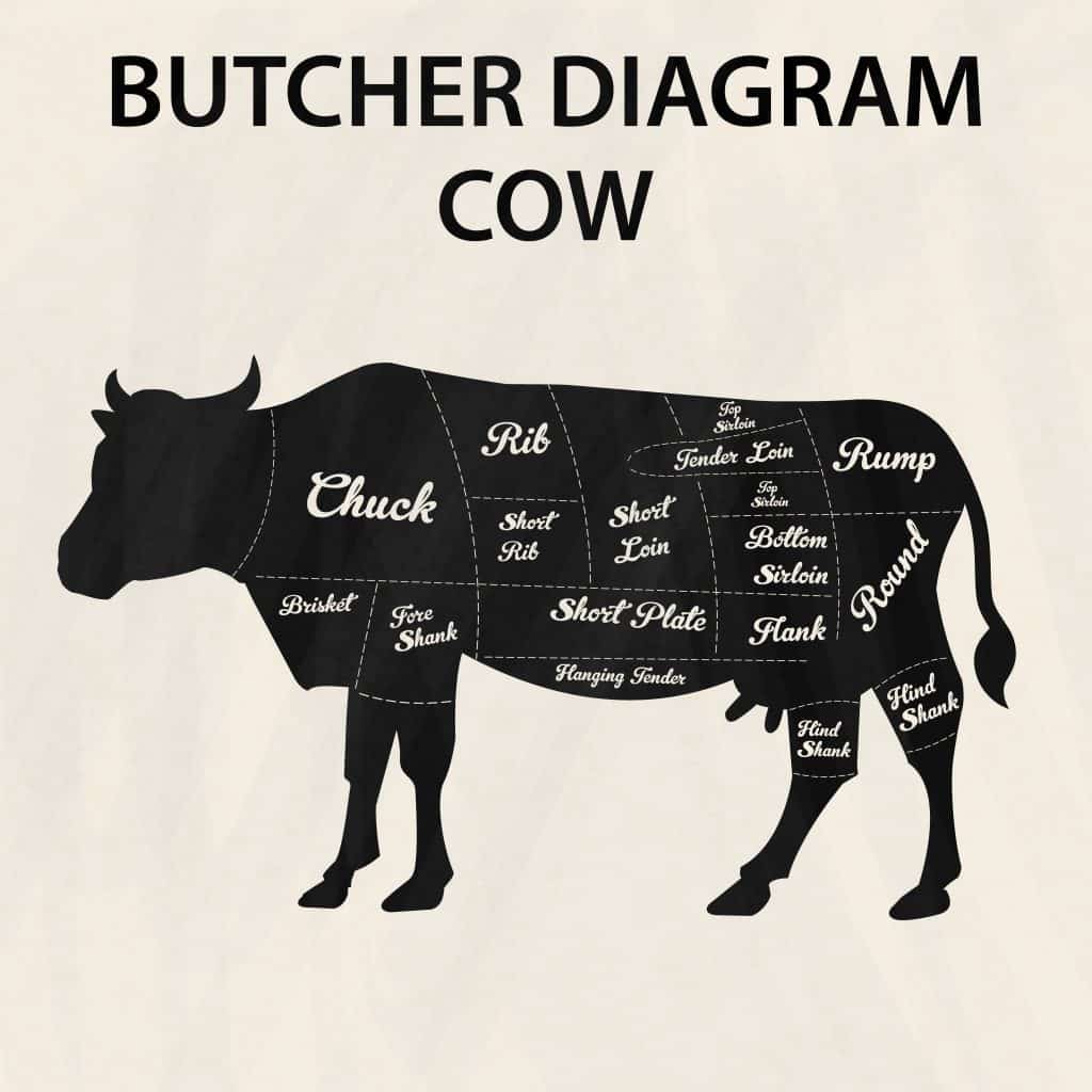 Diagram of a cow showing the different primals that beef cuts come from
