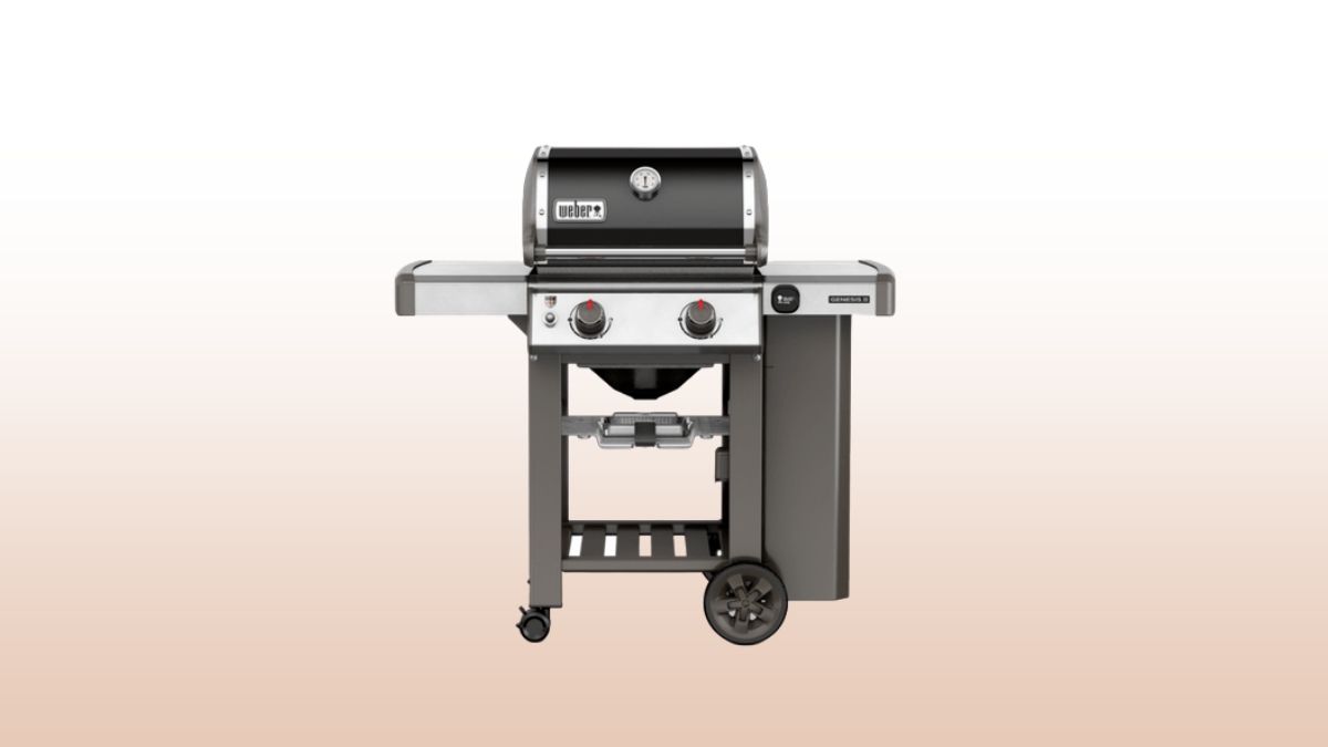 Genesis ii on sale e210