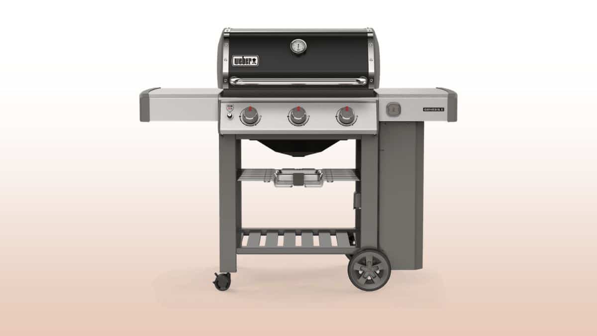 weber genesis ii e 310 isolated