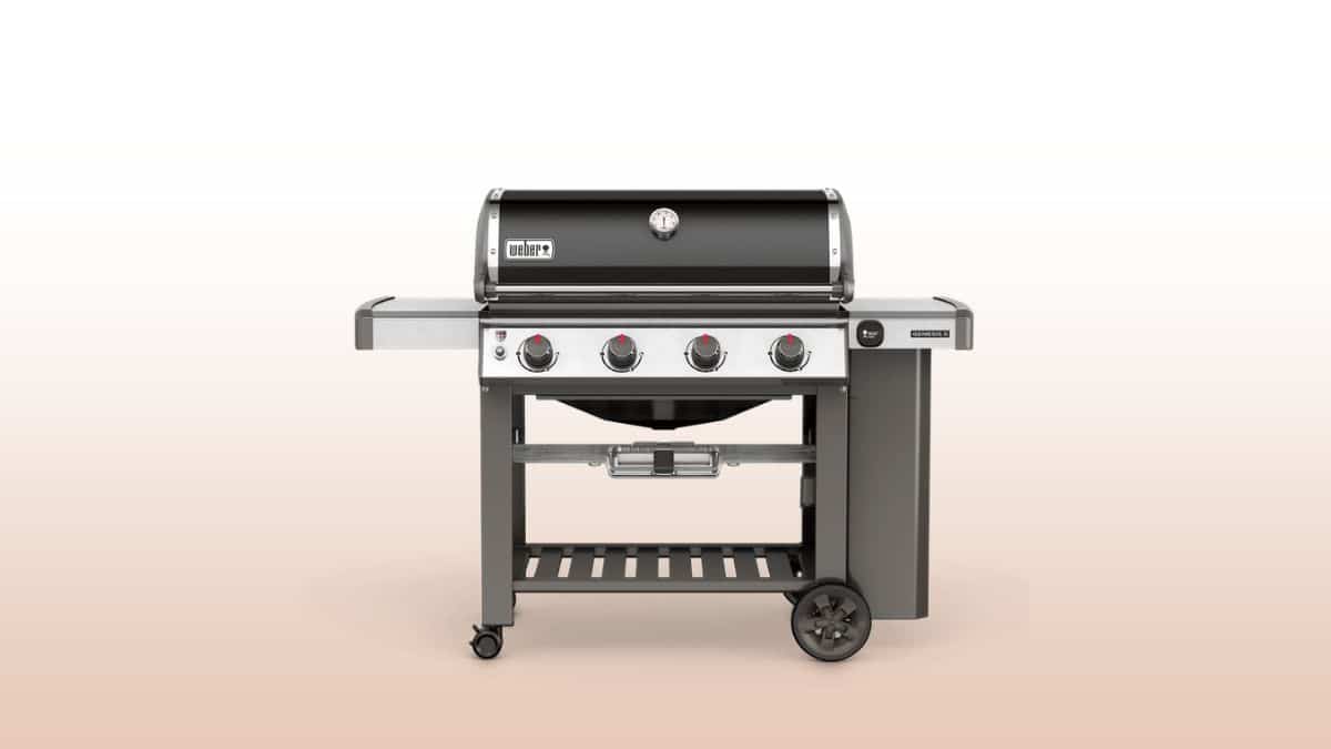 weber genesis ii e410 isolated