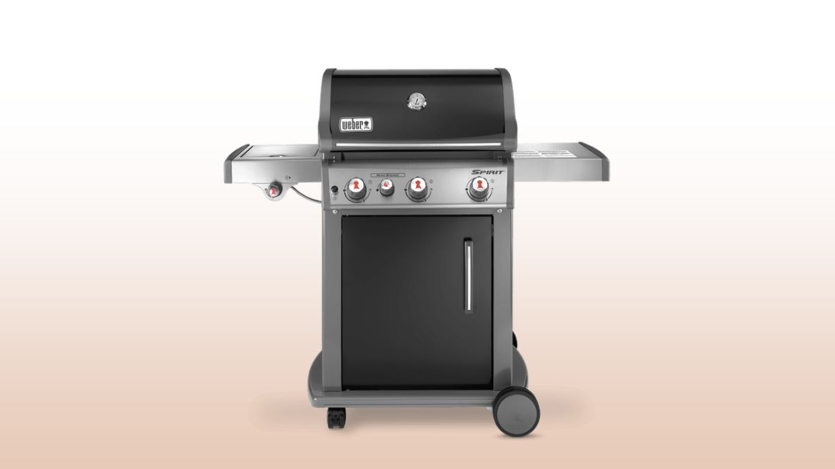 weber spirit e-330 isolated