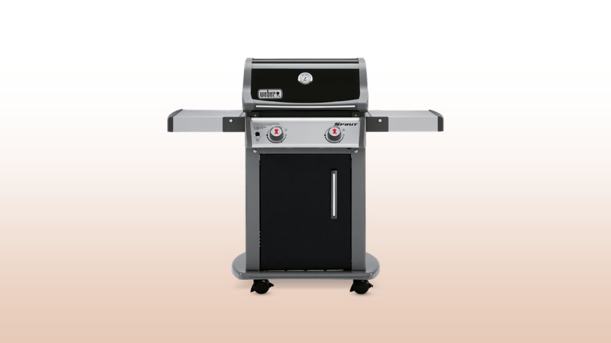 weber spirit ii-e-210 isolated