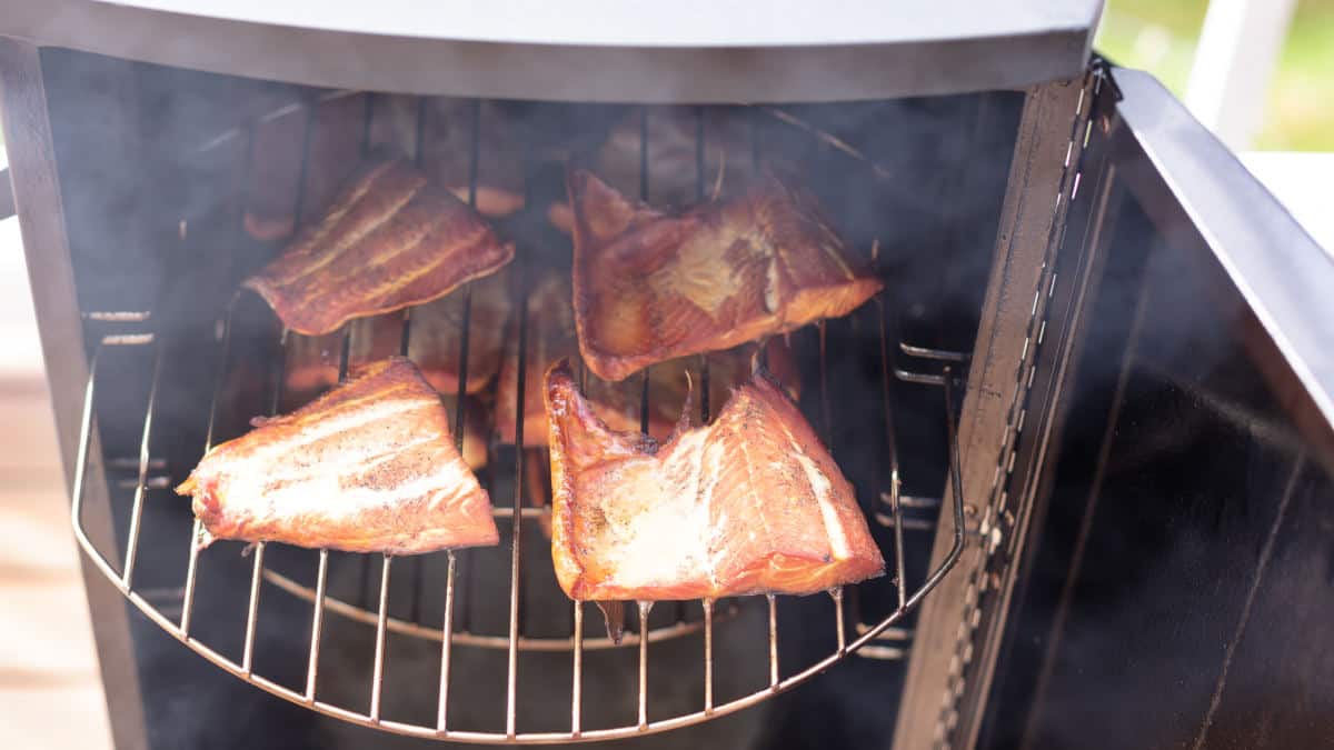 Close up of open smoker cooking red salmon fillets