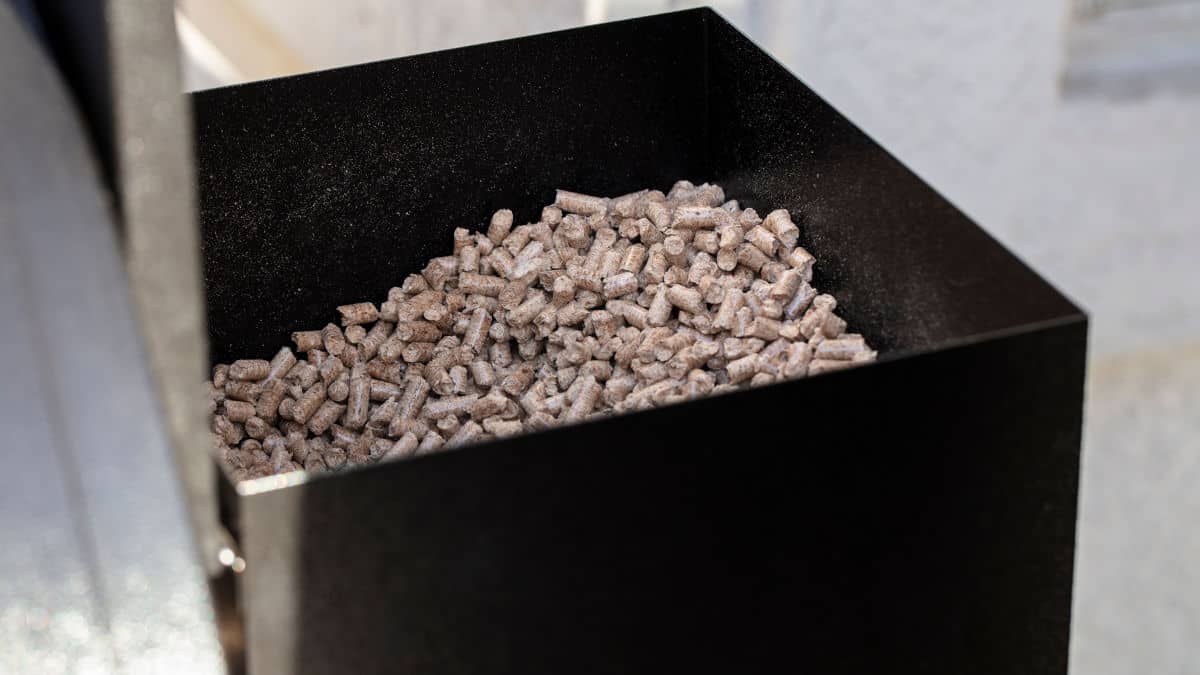 Wood pellets in the hopper of a pellet grill and smoker