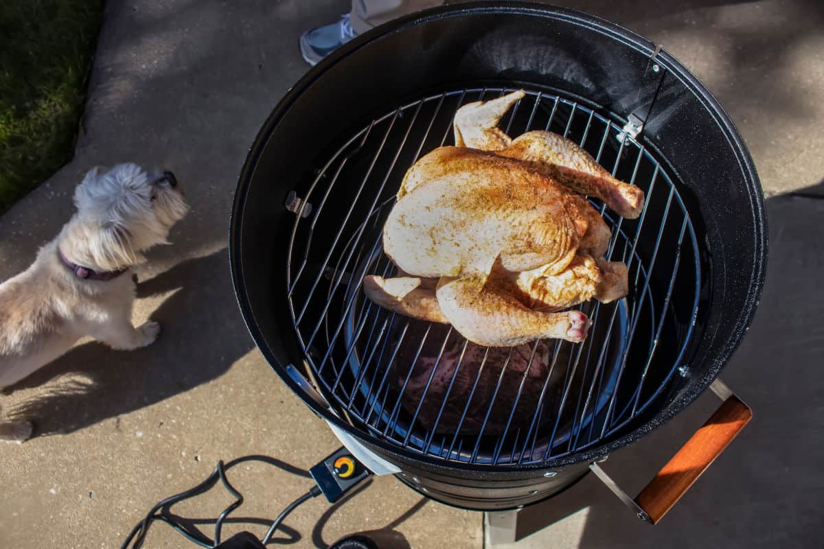 A Weber Smoky mountain cooker with a chicken being smoked