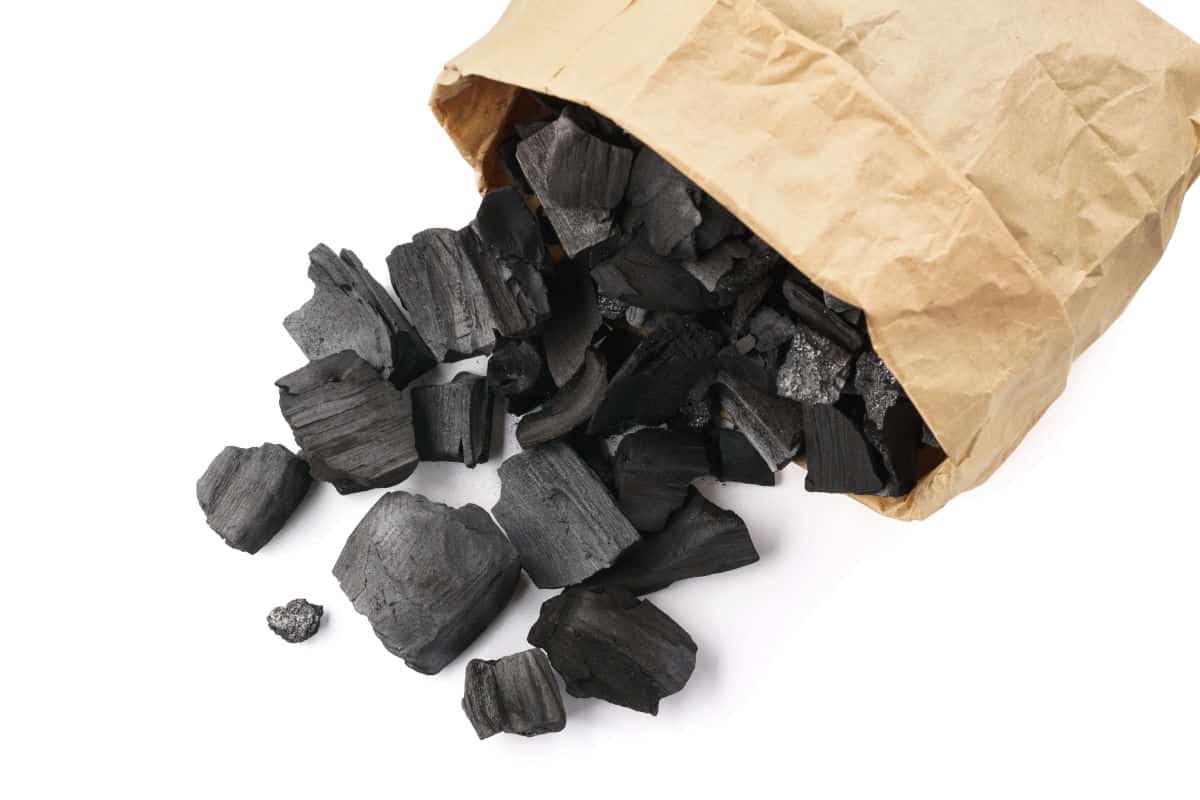 An open bag of charcoal, some pieces spilling out, isolated on white